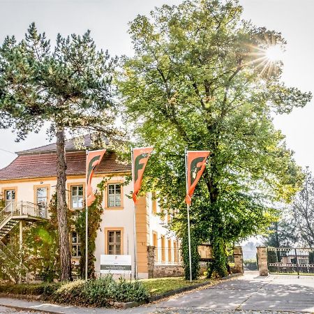 Stadtschloss Hecklingen*** Hecklingen  エクステリア 写真