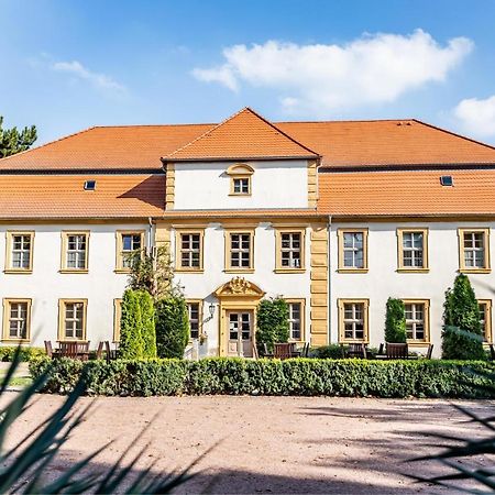 Stadtschloss Hecklingen*** Hecklingen  エクステリア 写真