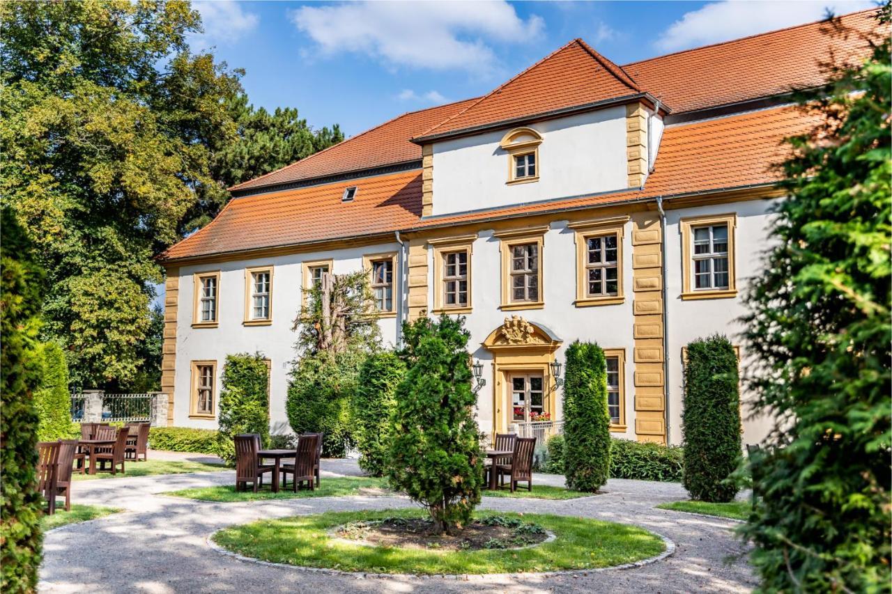 Stadtschloss Hecklingen*** Hecklingen  エクステリア 写真